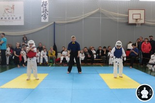 занятия каратэ для детей (99)
